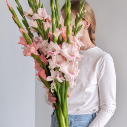 Букет из 19 розовых гладиолусов