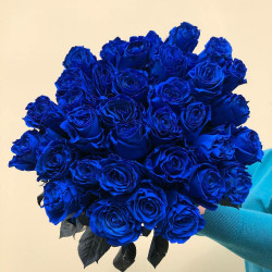 31 cиняя роза