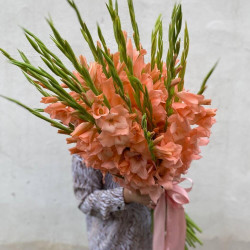 Букет из 35 персиковых гладиолусов