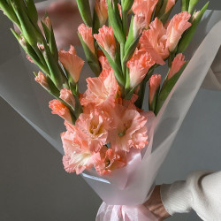 Букет из 7 коралловых гладиолусов
