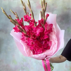 Букет из 7 малиновых гладиолусов