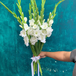 Букет из 9 белых гладиолусов