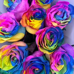 Букет из 17 радужных роз